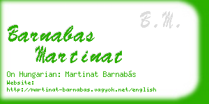 barnabas martinat business card